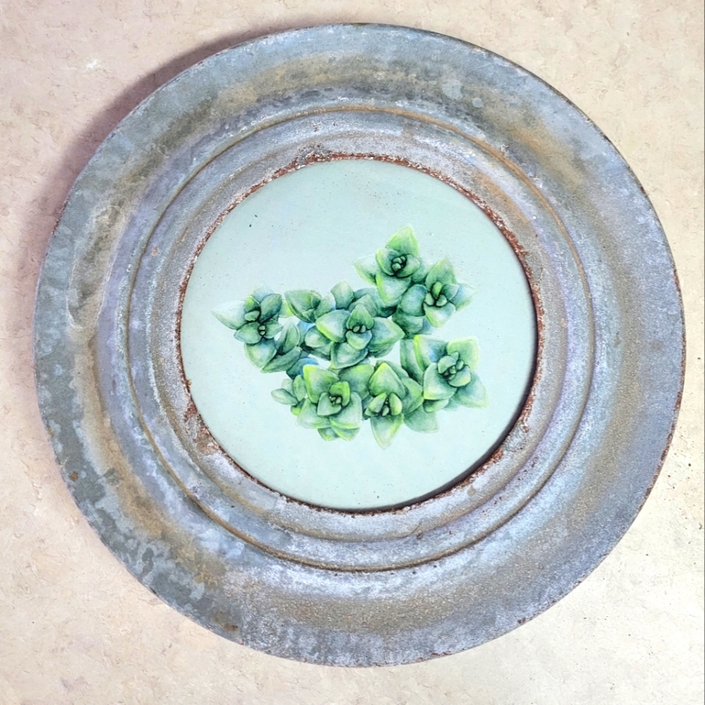 Rustic succulent round wall hanging metal frame